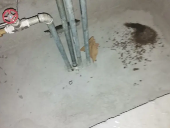 北辰卫生间测漏水价格明细